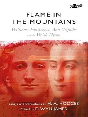 cover image of Flame in the Mountains